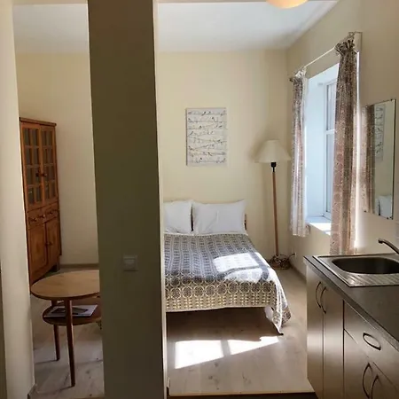 Gasthuis Vila Bohema - 4 Apartamentu Vila Kestucio G. 11 3*